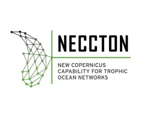 NECCTON